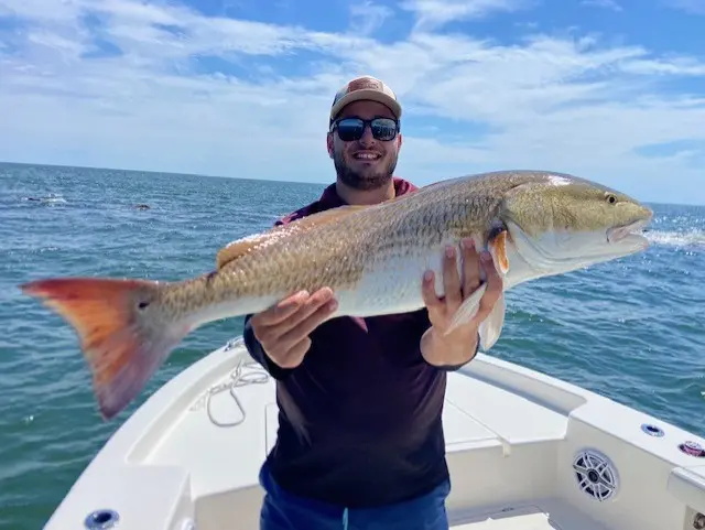 Angler holding a redfish against blue Lowcountry water